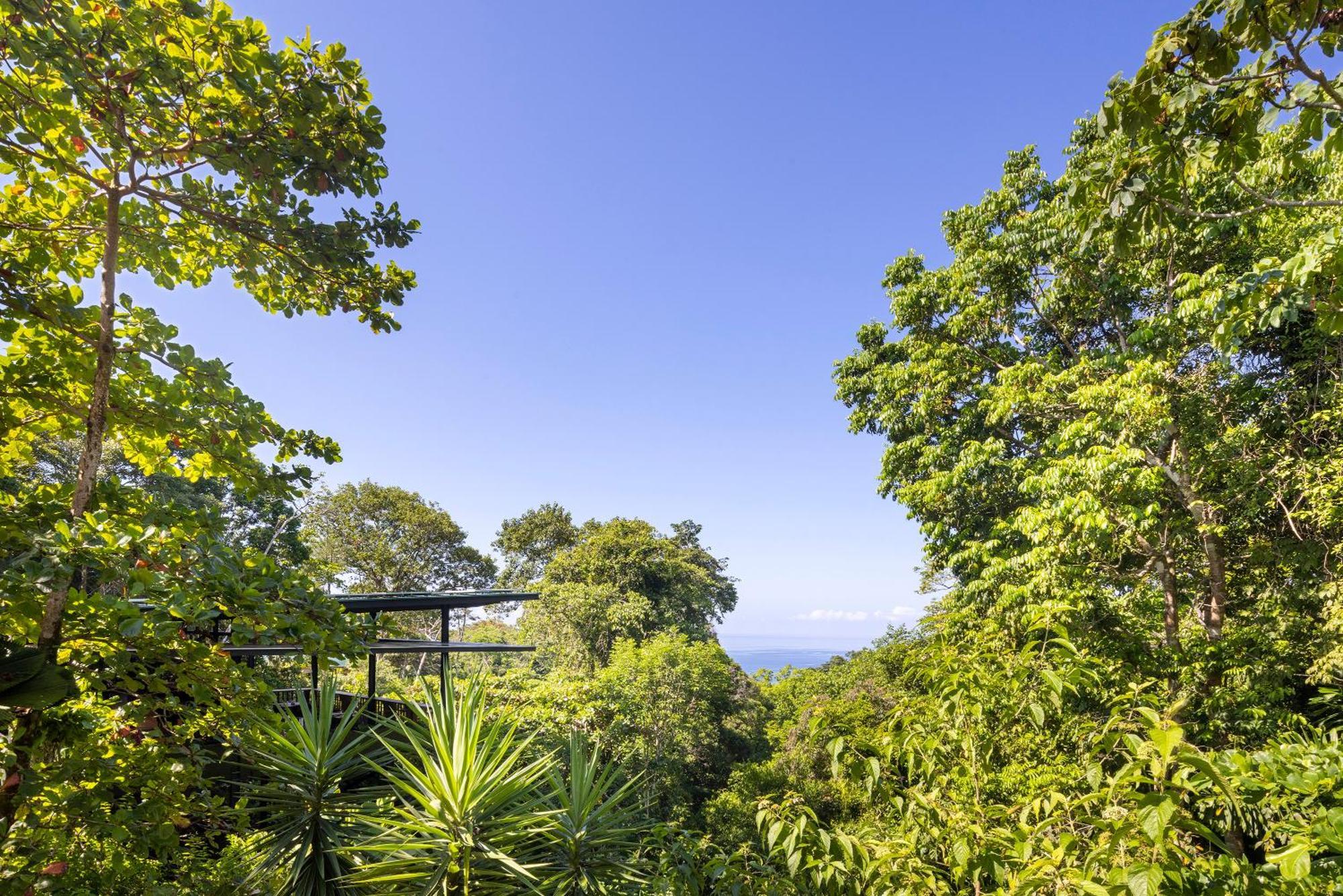 El Remanso Rainforest