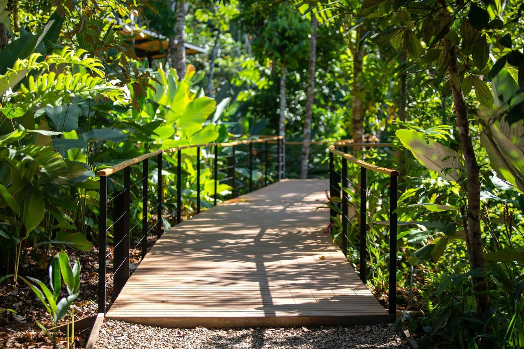 El Remanso Rainforest *