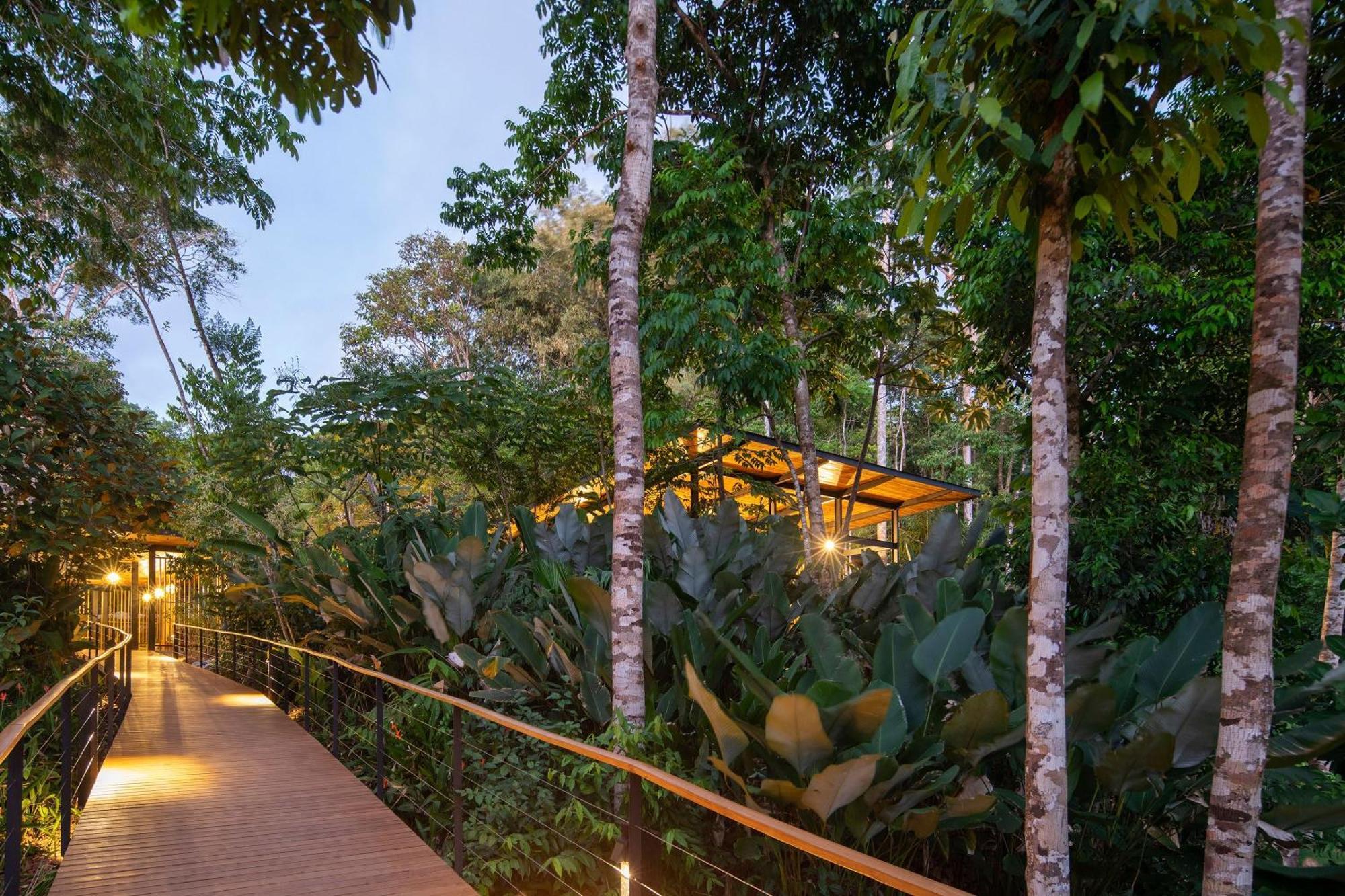 Lodge El Remanso Rainforest