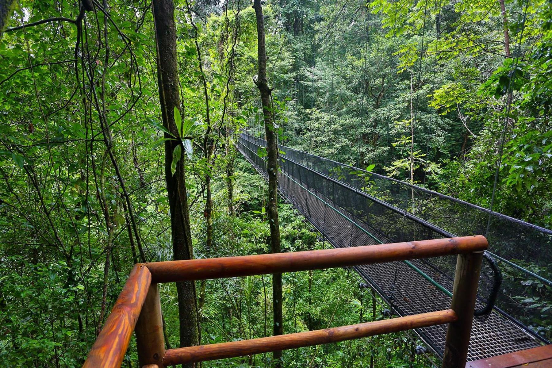 El Remanso Rainforest Lodge *