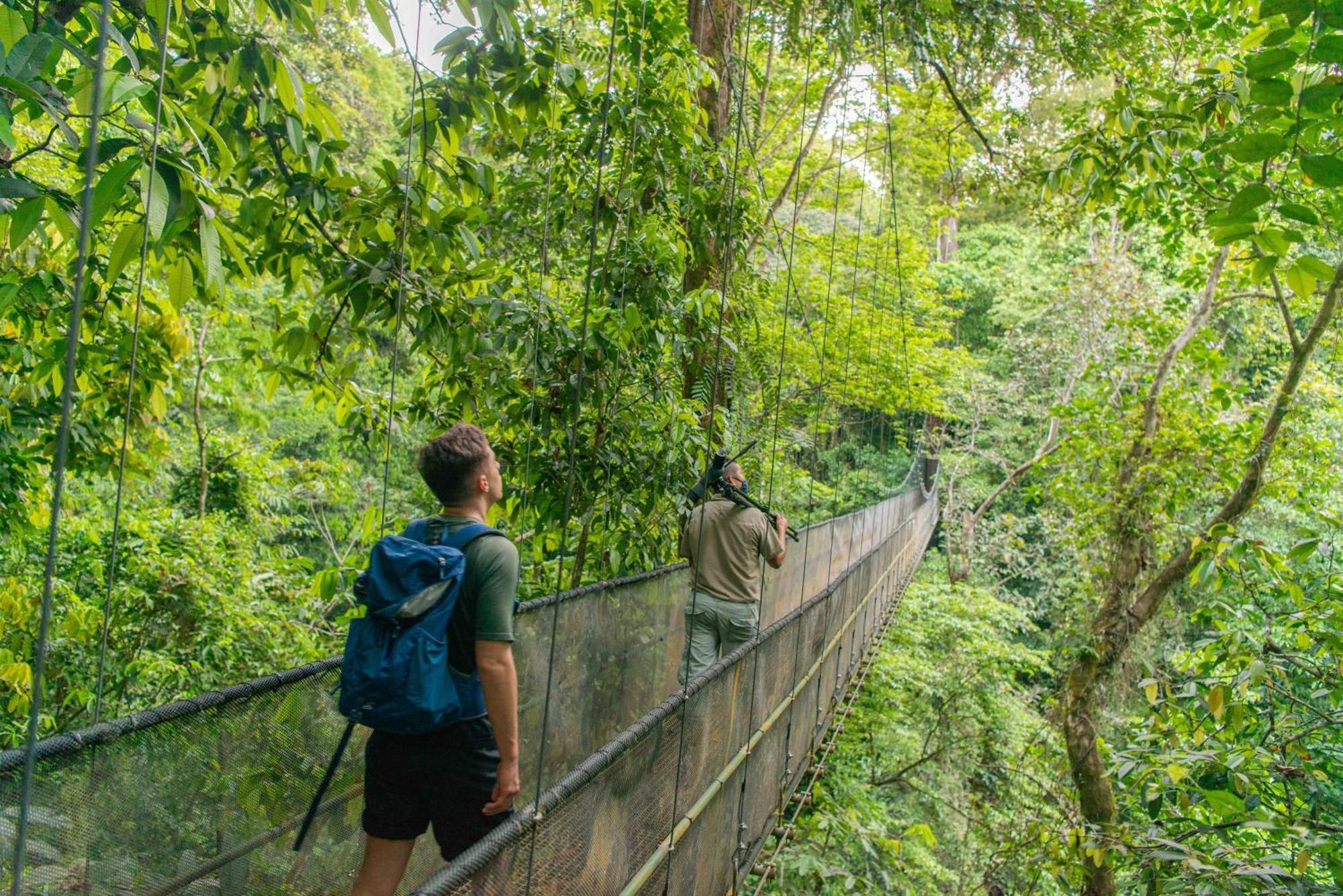 El Remanso Rainforest Puerto Jimenez