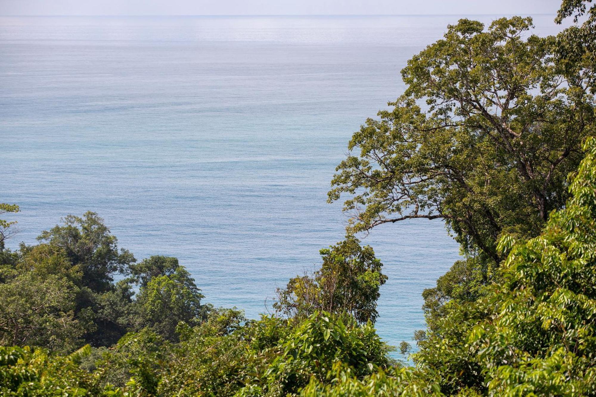 El Remanso Rainforest *