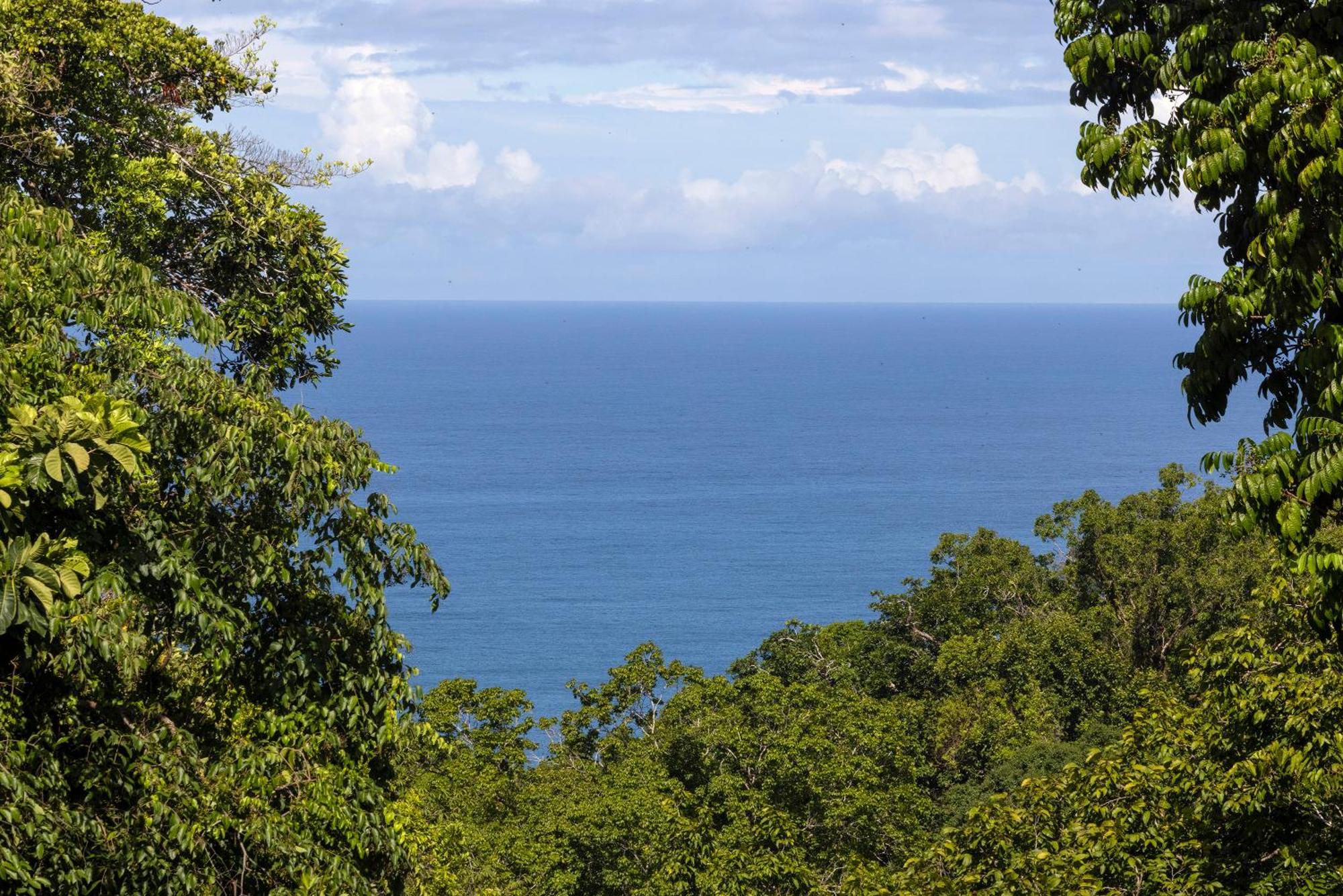 El Remanso Rainforest *